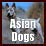 Asian dogs