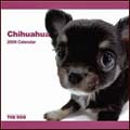 Chihuahuas Calendar 2009