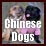 Chinese dogs