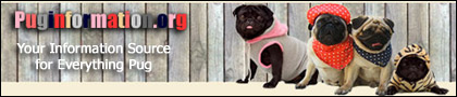 Puginformation.org: Your information source for everything Pug